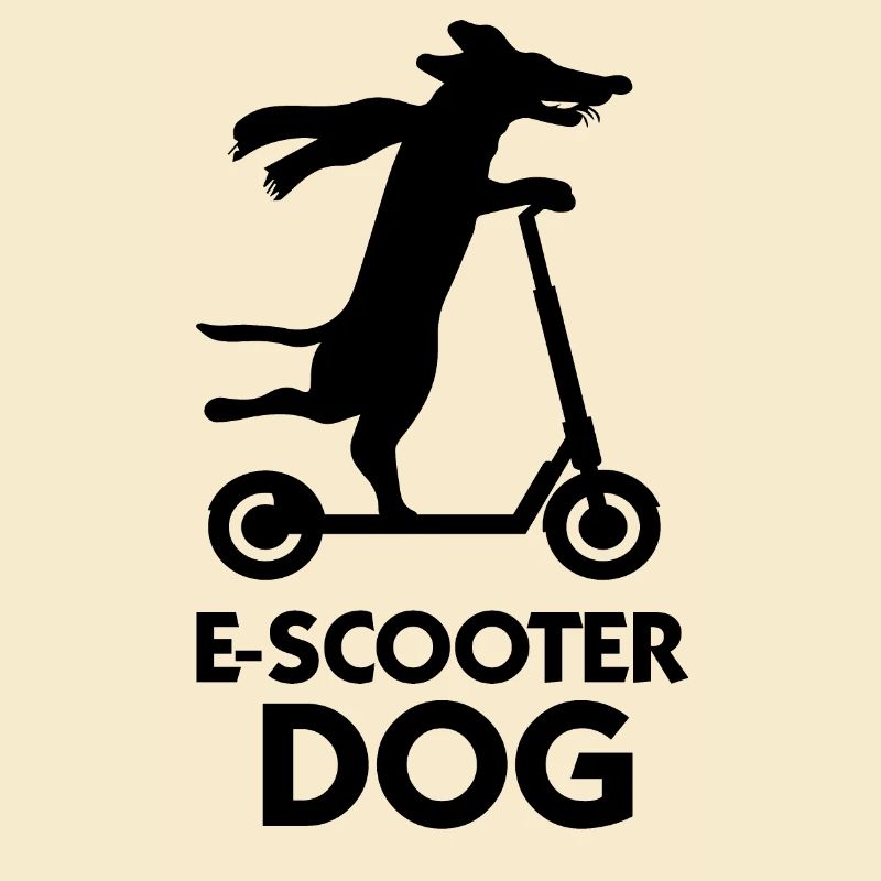 E-Scooter Roller