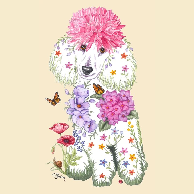 Spring poodle