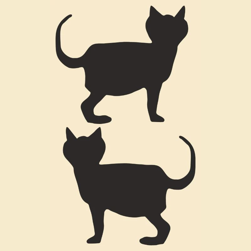 katzen schwarz