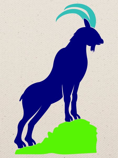 steinbock 02