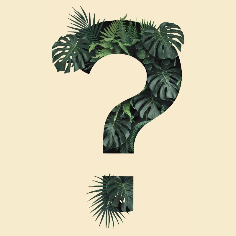 Plantes tropicales vertes Point d’interrogation jungle
