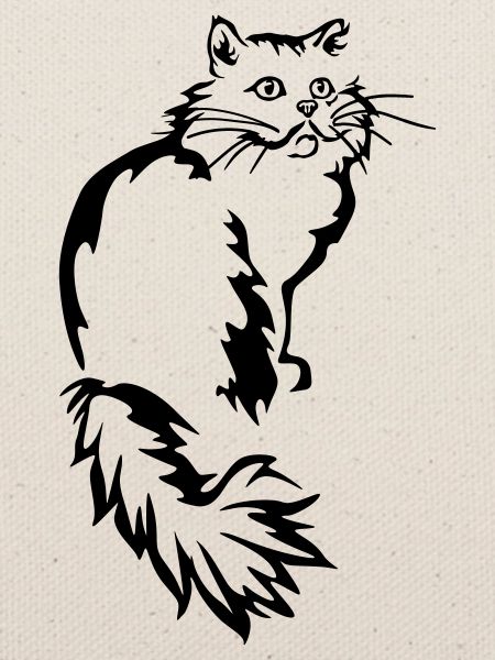 Perser - Perserkatze