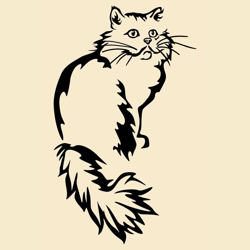 Persian - Persian Cat