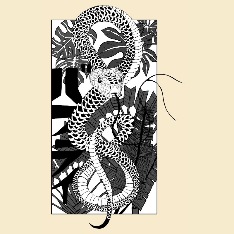Snake 2