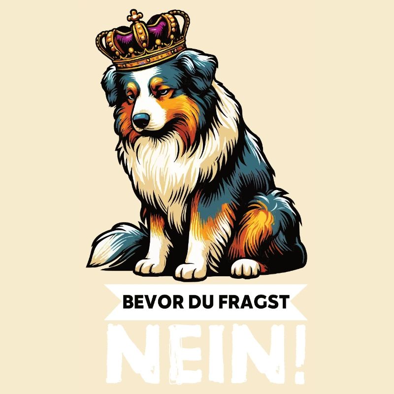 Before you ask: Australian Shepherd Aussie Aussie