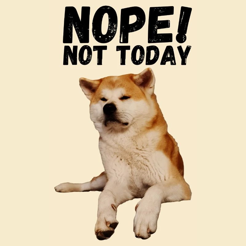 Akita Nope not today