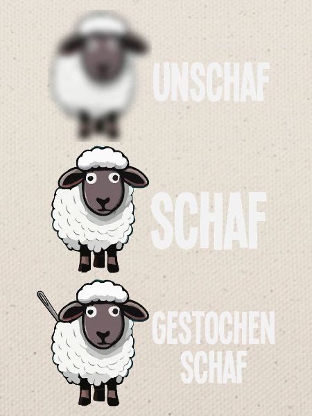 Gestochen Schaf Unschaf Fotografen Wortwitz