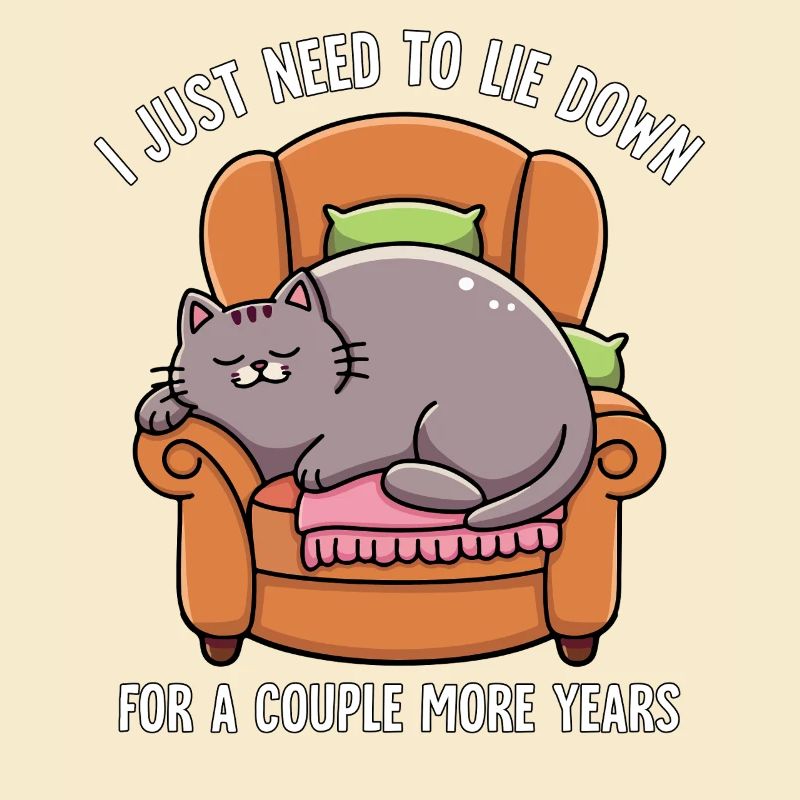 Sleeping Lazy Cat