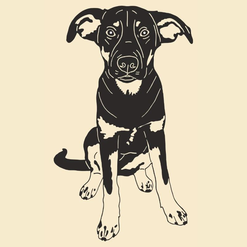 Malinois Mix