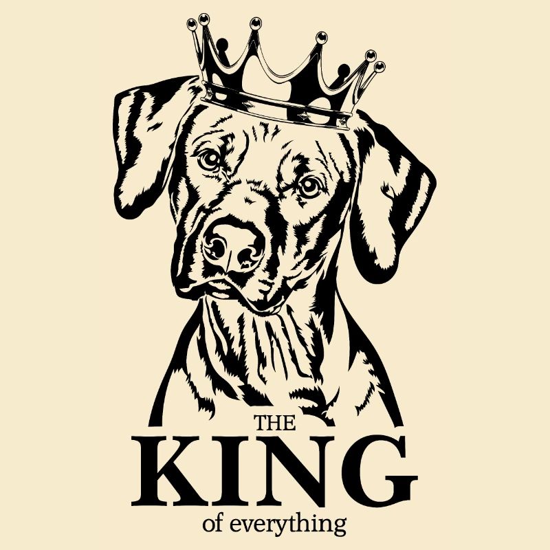 Rhodesian Ridgeback King of everything Wilsigns