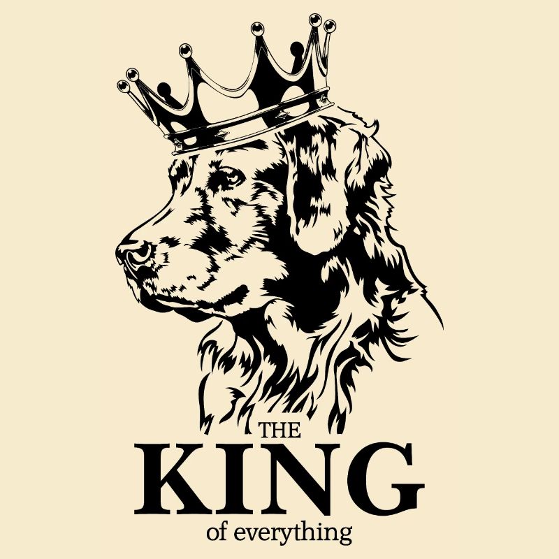 Golden Retriever King of everything Hund Wilsigns