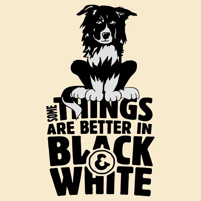 Bordercollie b/w