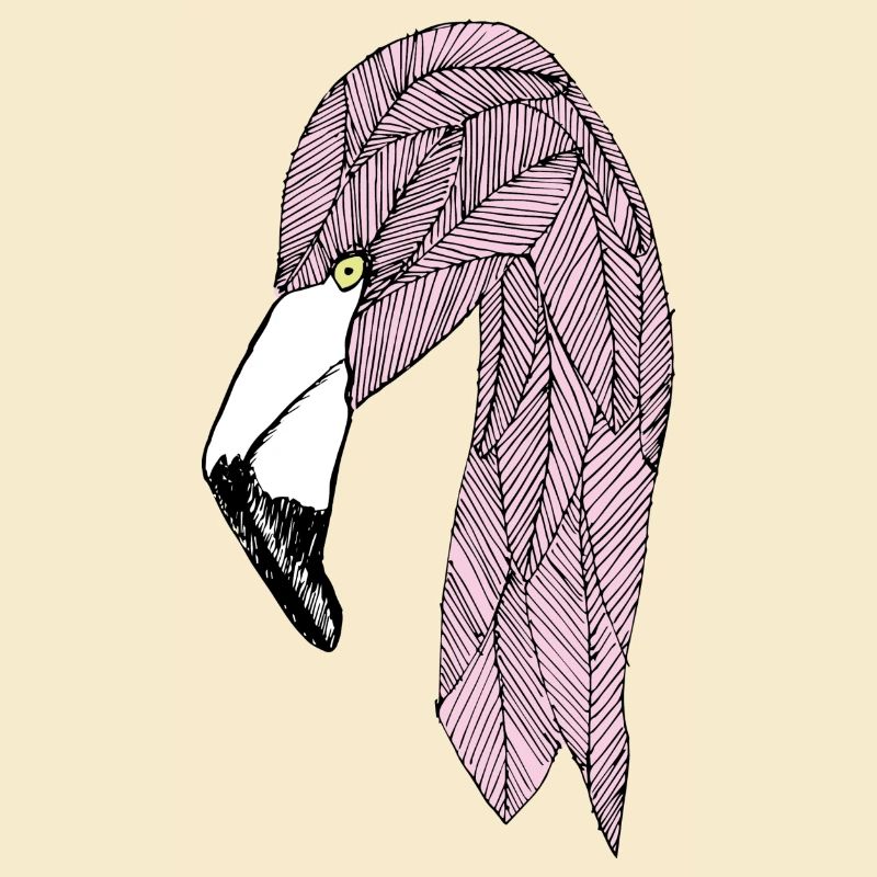 flamant