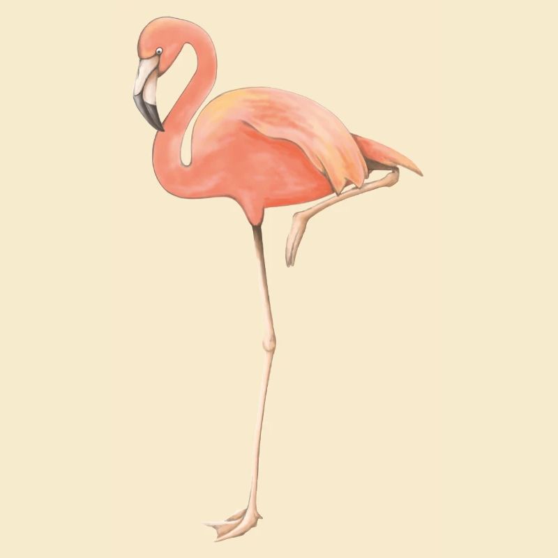 Flamingo solo