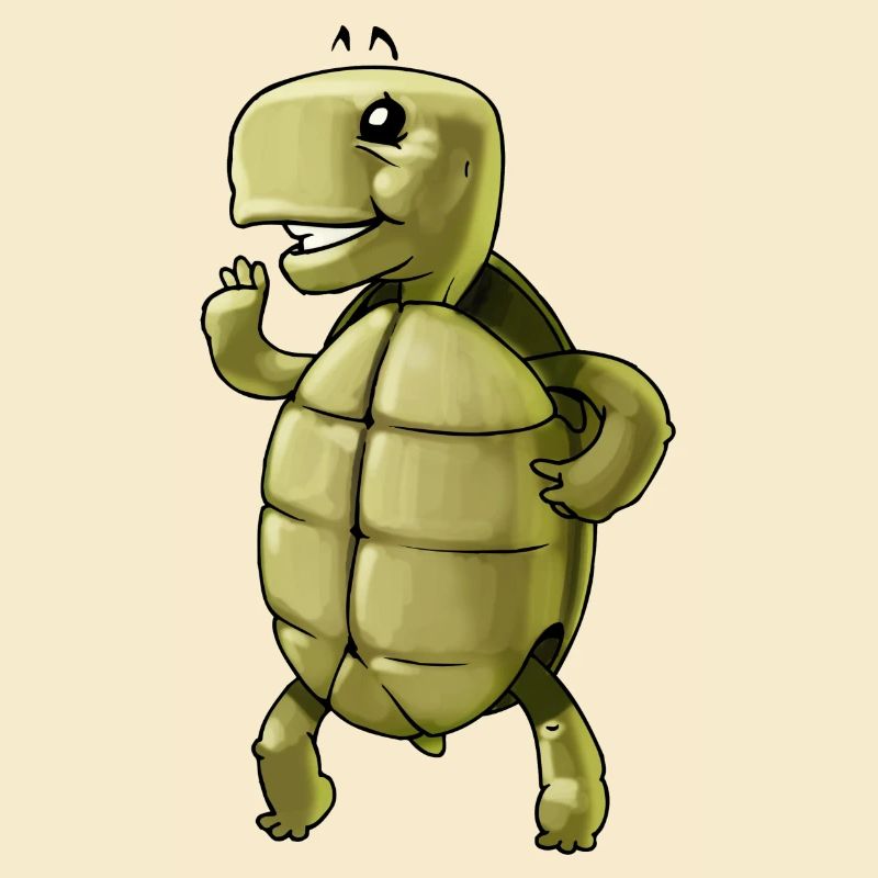 tortoise turtle tortoise reptile reptiles