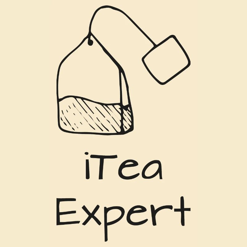 Itea expert Programming Informatic Gift