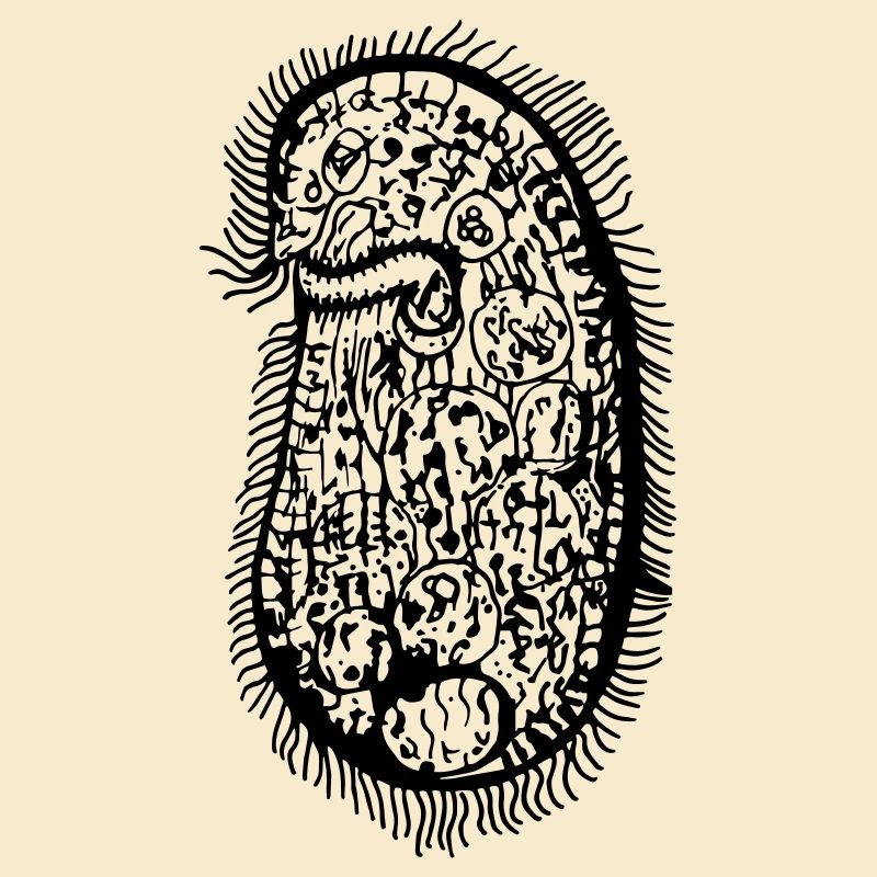 PLANKTON_05 (Series: Under the Microscope)