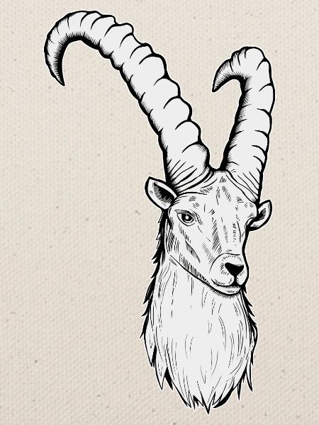 Steinbock Sternzeichen