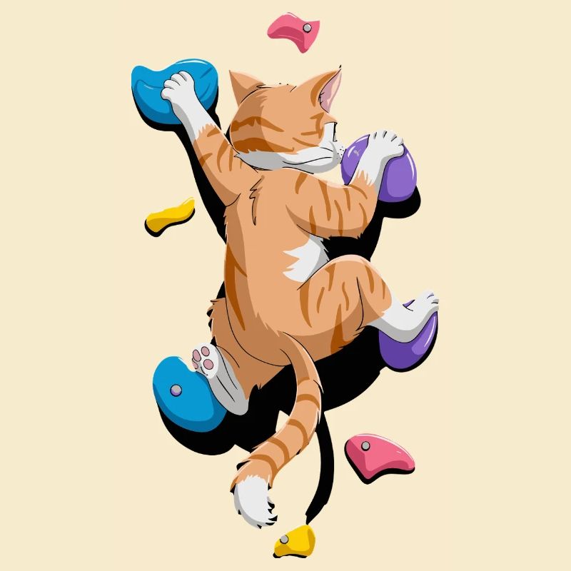 Lustige Boulder-Katze Felsenkletterns
