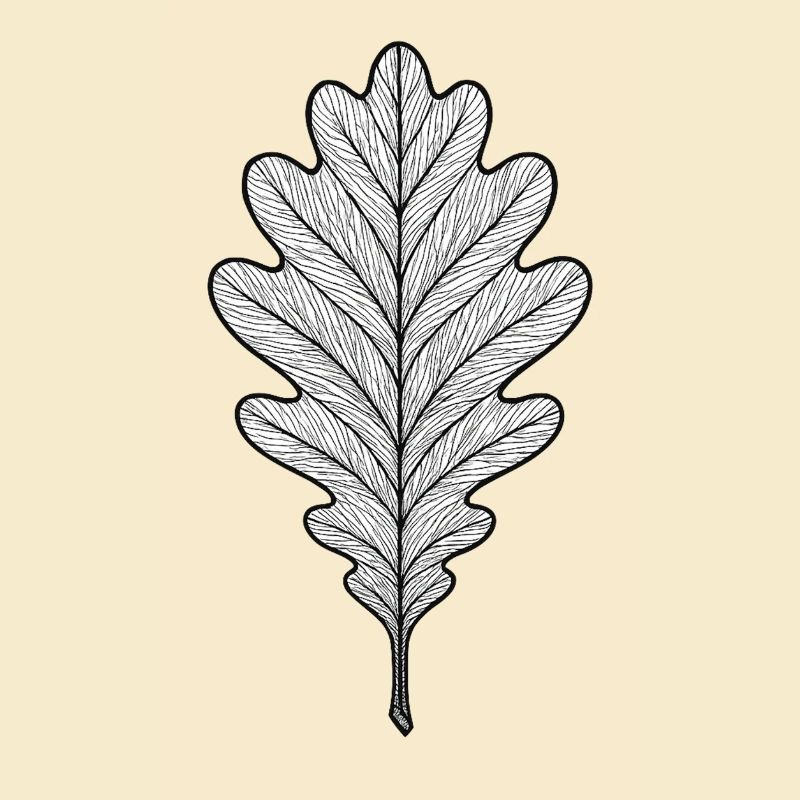 Monochromes Eichenblatt-Design