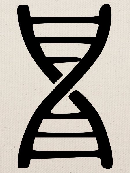 DNA Gen Forschung Geschenk