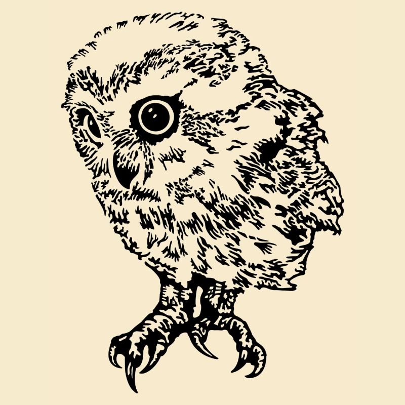 Eule