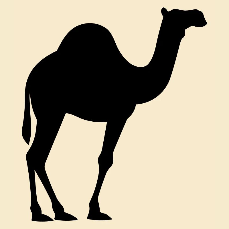 Kamel