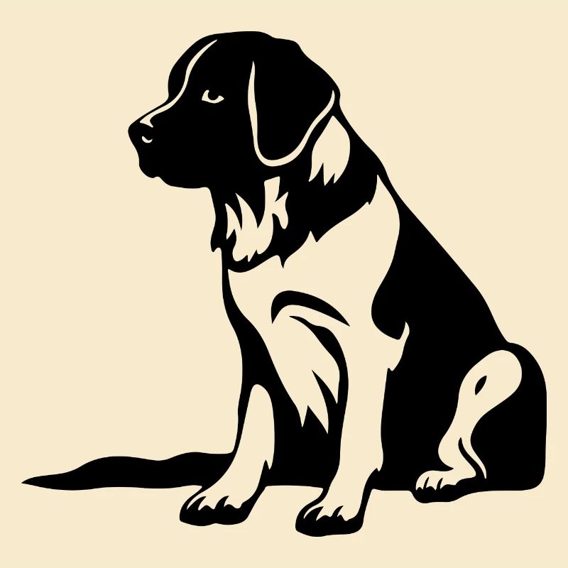 Saint Bernard Hund