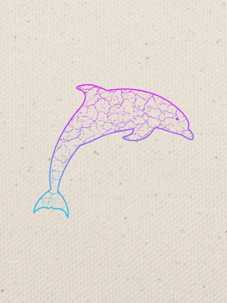 Delfin dolphin