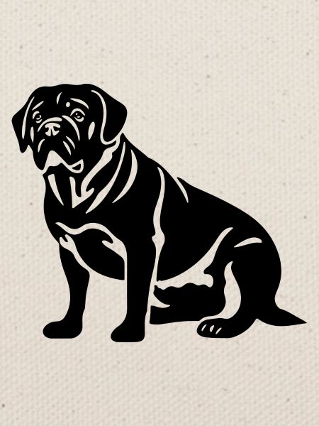 Pug Hund Mops