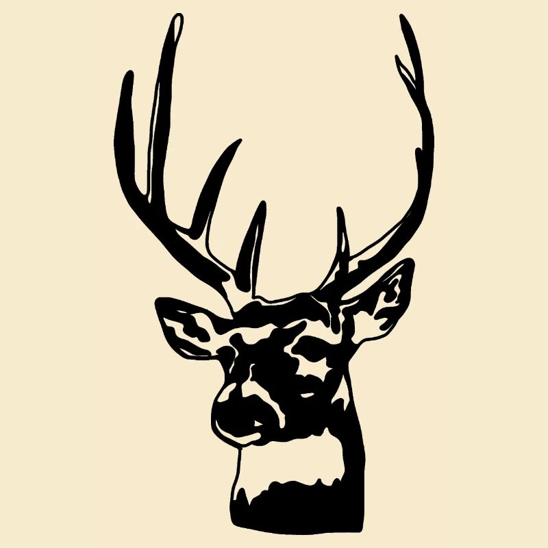 Deer Forest Antler Hunting