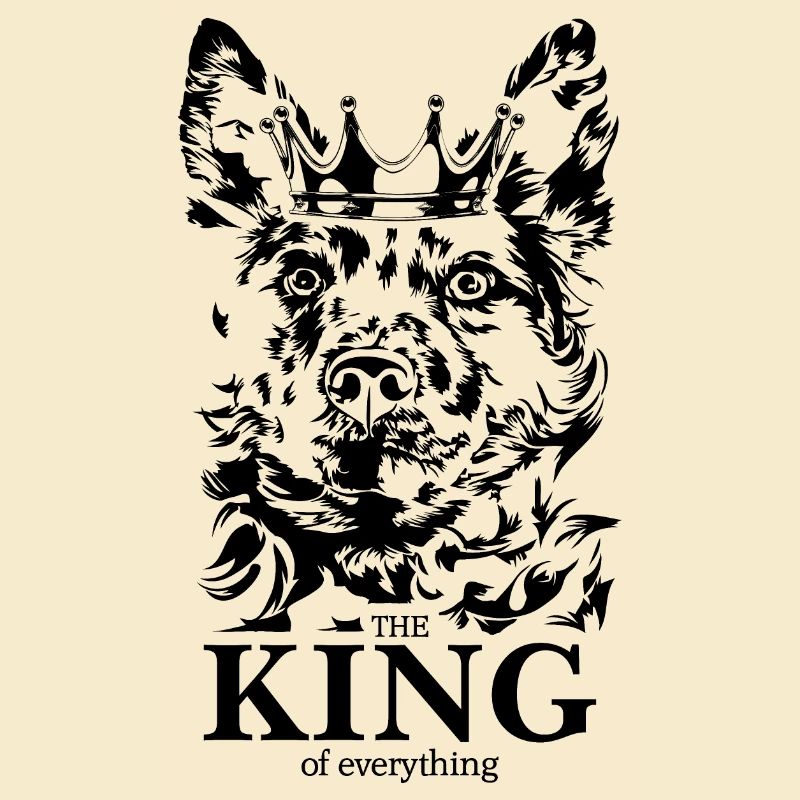 Mudi Roi de tout Dire Chiens Wilsigns