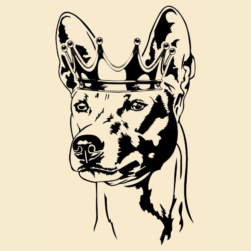 Basenji Krone Hunde Hund Wilsigns