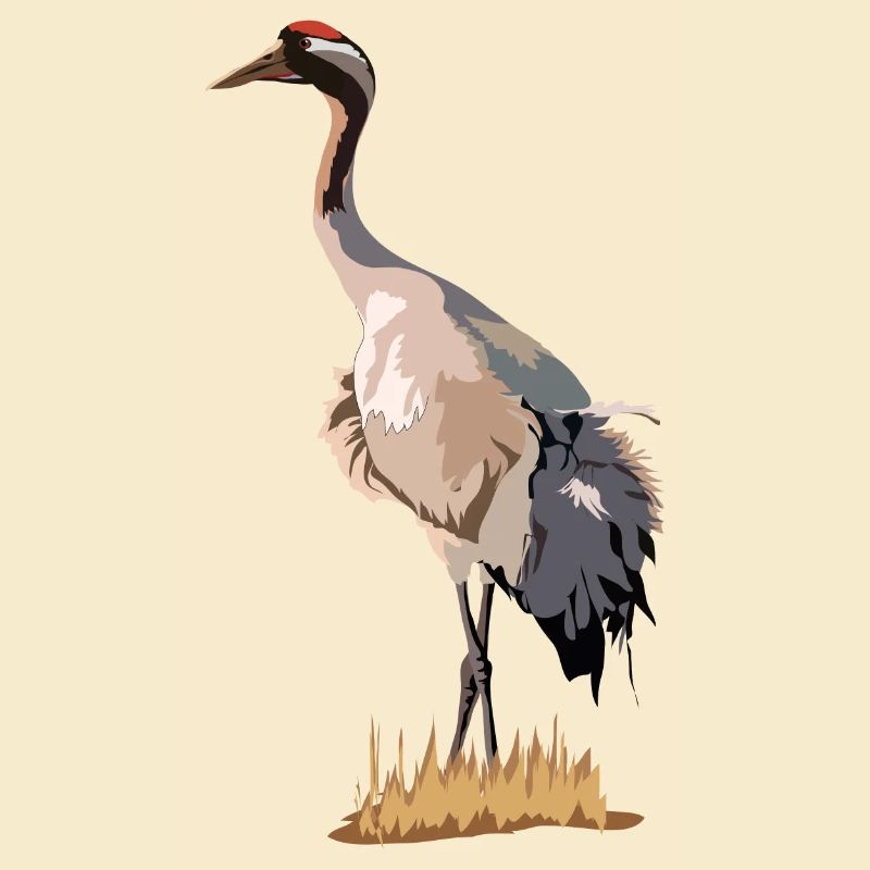 Kranich