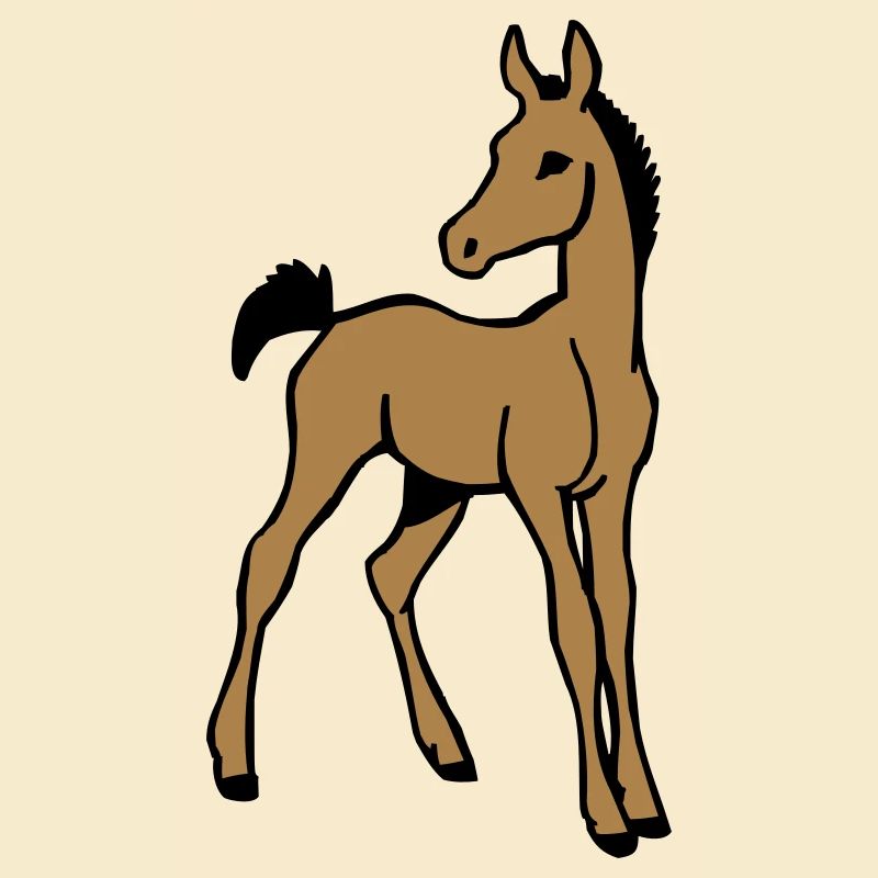 Fohlen