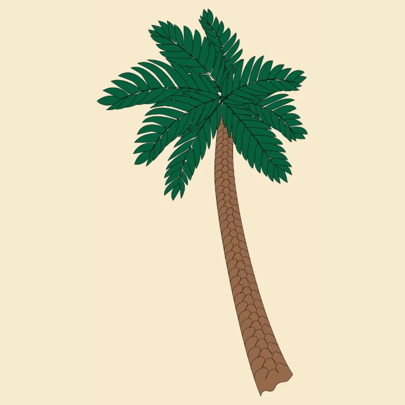 Illustration Palm