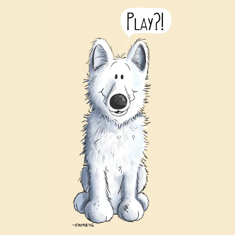 Schweizer Schäferhund Play