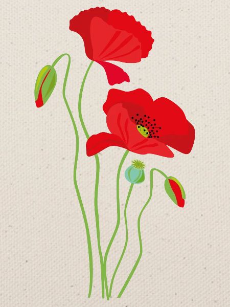 Mohn - Blumendesign