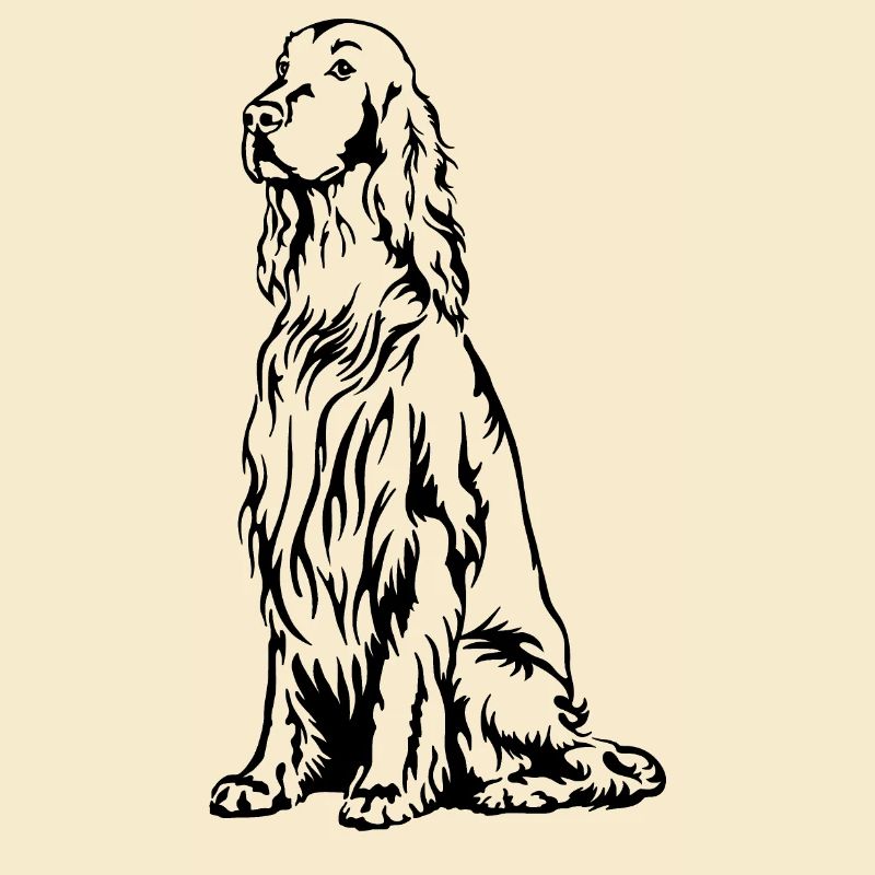 Irish Setter