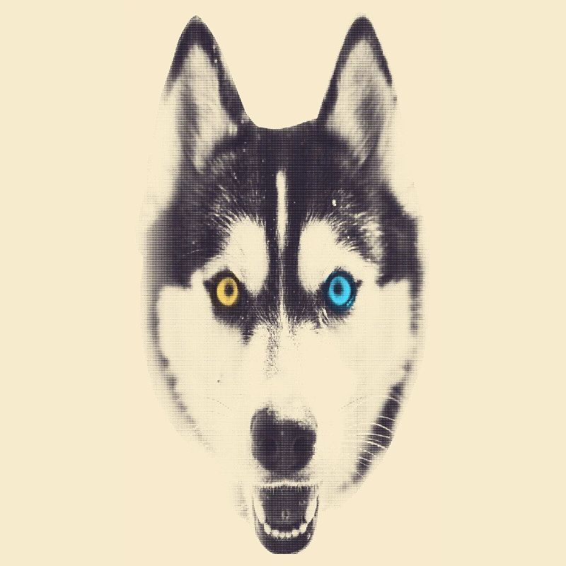 HUSKY