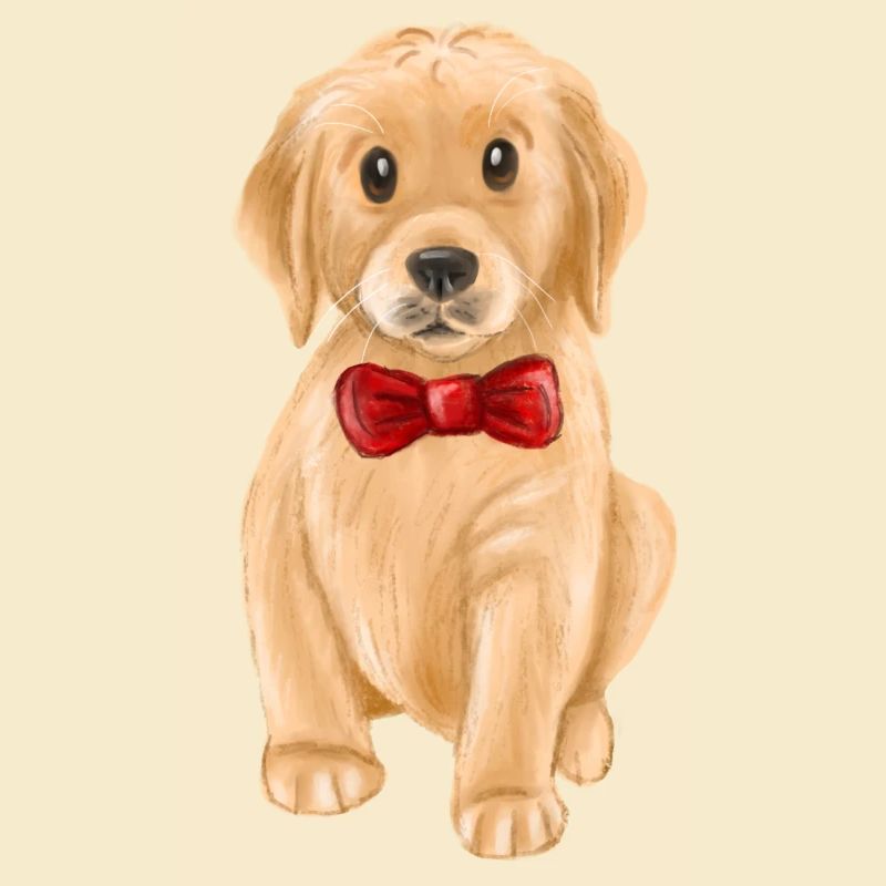Puppy