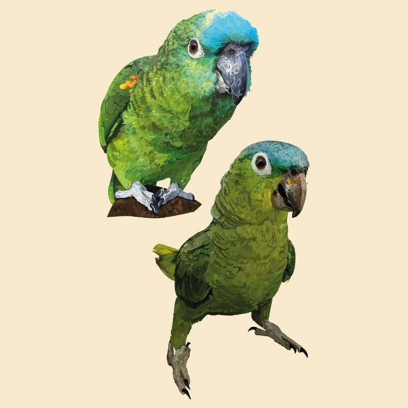Amazonas-Papageien