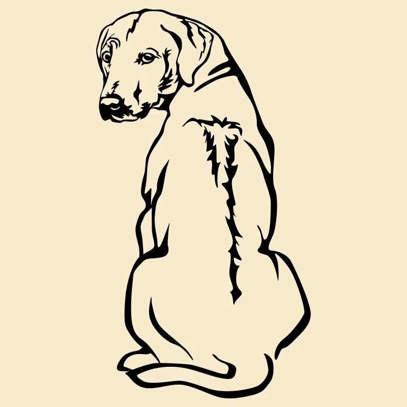 Rhodesian Ridgeback