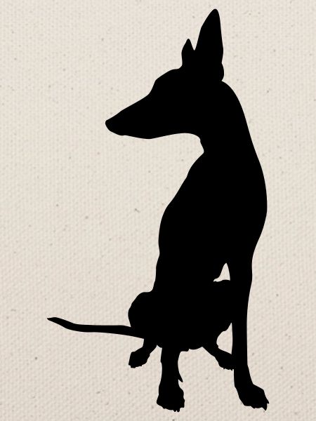 podenco boss