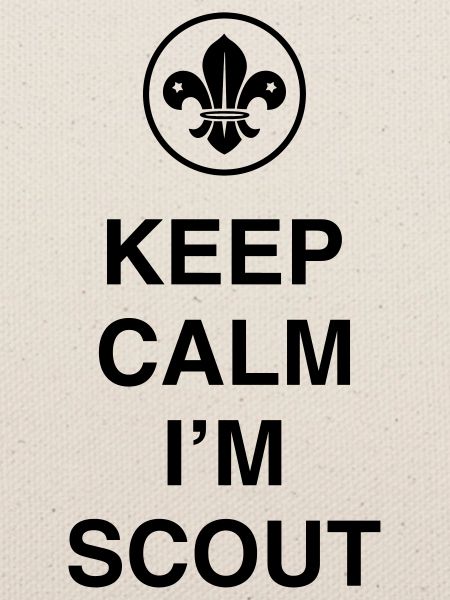 Keep Calm I'm Scout