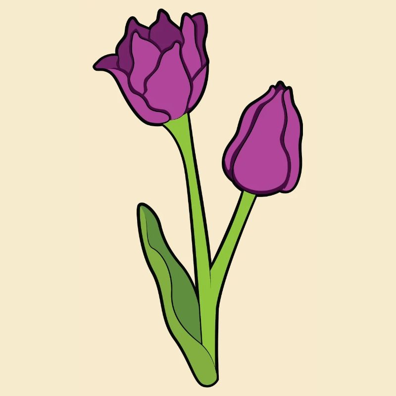 Tulpen