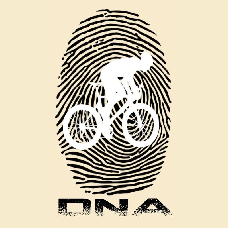 Vélo