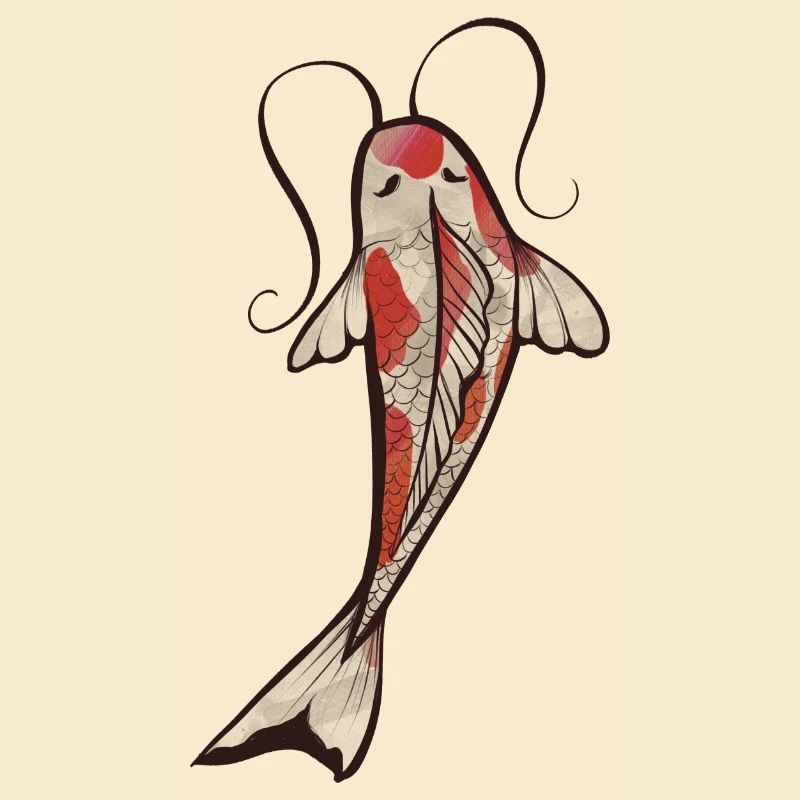 Koi