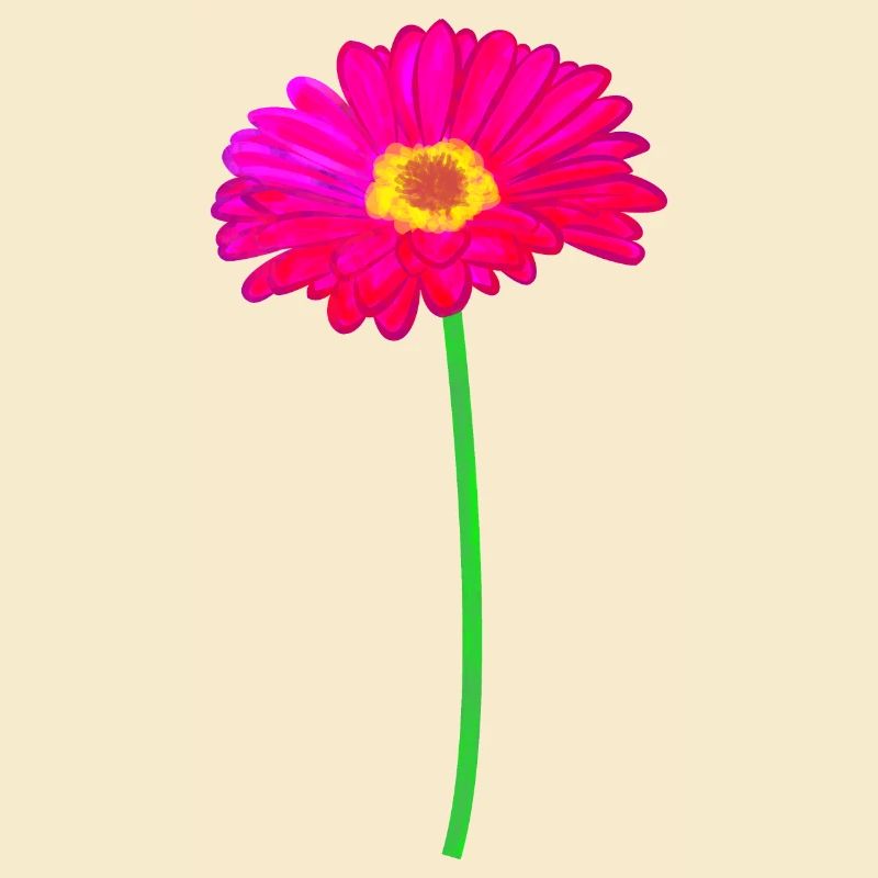 Gerbera