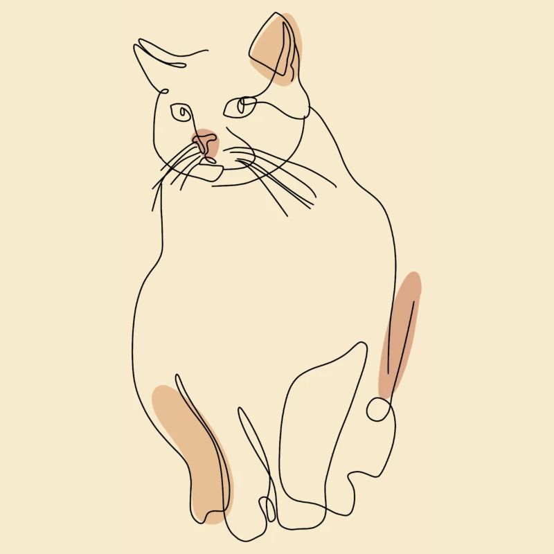 Katze